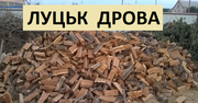 Дрова Луцьк ціна. Купити дрова в Луцьку (твердої породи) дуб,  граб